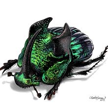 Phanaeus demon. Projekt z dziedziny Tradycyjna ilustracja użytkownika Alberto Guerra - 22.11.2015