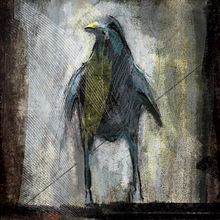 BIRD. Traditional illustration project by otto esperón - 11.24.2015