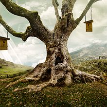 Mi proyecto del curso. . Photograph, and Post-production project by José Torres Escobar - 11.25.2015