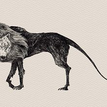 Creature. Un progetto di Belle arti e Illustrazione tradizionale di Carlos Parra Villalba - 29.11.2015