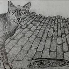 Lapiz Grafito: Blanco y Negro- 8B-6B-4B-2B. Ilustração tradicional projeto de Vania Belen Janko Laszo - 29.11.2015