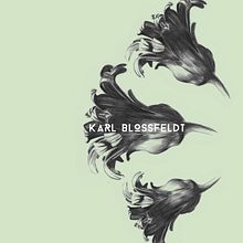Karl Blossfeldt Poster. Fine Arts, Design, Editorial Design, Graphic Design, and Traditional illustration project by Juanma Samusenko - 12.04.2015