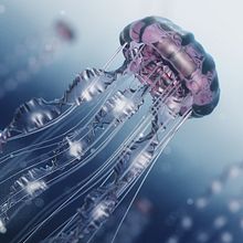 Jellyfish Tutorial // 3D CGI. Projekt z dziedziny 3D,  Manager art, st, czn i  Reklama użytkownika Víctor Navarro - 05.12.2015