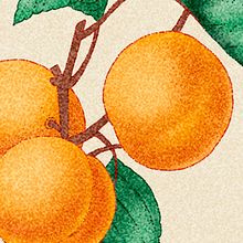 FOODLÂNDIA. Projekt z dziedziny Grafika ed, torska, Projektowanie graficzne, Trad, c i jna ilustracja użytkownika Nerea Gómez - 07.12.2015
