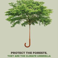 WWF International. Art Direction, Design, Graphic Design, and Advertising project by Jose Llopis - 12.08.2015