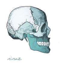 Ilustración calavera. Graphic Design, and Traditional illustration project by U Pagoaga - 12.08.2015
