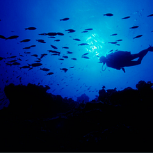 Diseño y desarrollo web en Wordpress para Pura Vida Lanzarote Diving. Projekt z dziedziny Tworzenie stron internetow, ch, Design, Projektowanie graficzne, Web design, Trad, c, jna ilustracja i  Reklama użytkownika Verónica Zara Benítez - 08.12.2015
