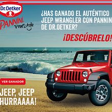 Pannini de Dr. Oetker · 'A surfing Day' . Br, ing & Identit project by Begoña Vilas - 03.14.2015