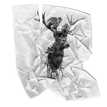 Roots, Rests and Time. Collage, and Traditional illustration project by Guillermo Vázquez - 12.10.2015