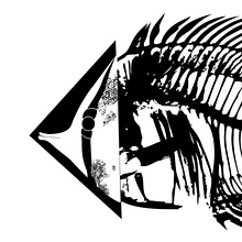 OUTSIDE IN . Design de costume, Ilustrație tradițională & Imprimare serigrafică de Mar Barceló - 12.15.2015