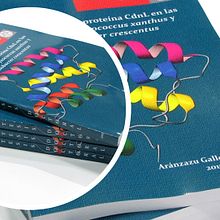 Tesis Doctorales. Un proyecto de Diseño editorial de Miguel Angel Carcelén - 18.12.2015
