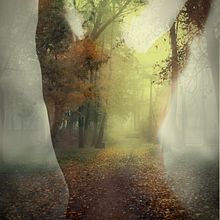 Pachamama . Fotografie de Laura Calabrese - 12.21.2015