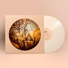 Odio París LP. Direção de arte, Design, Design gráfico, e Fotografia projeto de Victor Riba Campi - 22.12.2015