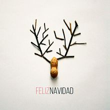 Feliz Navidad 2015. Graphic Design, and Photograph project by Verónica Martín - 12.24.2015