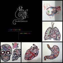 Anatomía Ilustrada . Design, Interior Design, Product Design, Traditional illustration, and Painting project by Paula Giraldo - 12.28.2015