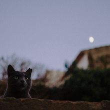 wandering.. Un proyecto de Fotografía de Noèlia Andrés - 28.12.2015
