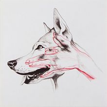 Chinese Shadows. Un progetto di Belle arti e Illustrazione tradizionale di Laura Baena - 05.01.2016