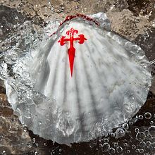 Camino de Santiago. Un proyecto de Fotografía de Ángel Mosquera Photo - 06.01.2016