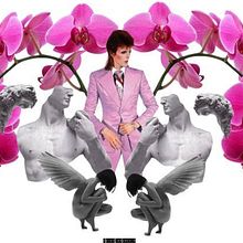 Descanse en Paz Mr Bowie el caballero que salvó mis noches y mis días( Y la de algunos bastantes más)nosotros  tu Cat People contigo Siempre . . Un proyecto de Collage, Escritura y Música de Jen Díez - 10.01.2016