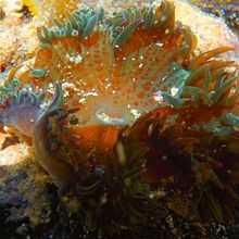 Natura. Un proyecto de Fotografía de Julio Negroe - 10.01.2016