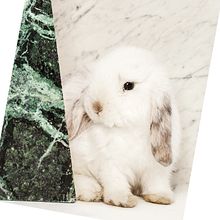 Camouflage - Agapornis Magazine vol.II. Art Direction, Editorial Design, and Photograph project by amigo_del_internet - 01.11.2016