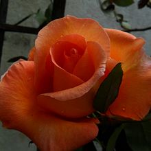 Con imágenes Ein Projekt aus dem Bereich Informationsdesign von MJ_Informa MJ_Informa - 10.01.2016