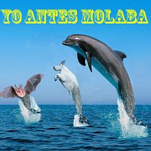 Youtube: Yo antes molaba. Video project by Xabier Pou Goyanes - 01.10.2015