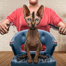 Hairless Ein Projekt aus dem Bereich Fotografie von Pitu López - 15.01.2016