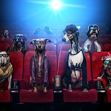 Doggy Cinema Ein Projekt aus dem Bereich Fotografie von Pitu López - 15.01.2016