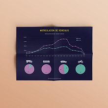 Infografía Matriculación de Vehículos. Un progetto di Graphic design di David Corchero Molina - 09.10.2014