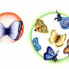 Ilustración. Design, Graphic Design, and Traditional illustration project by aLe Domínguez Quiñones - 01.18.2016