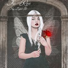 New Creations. Design gráfico projeto de Mariajosé Pina - 19.01.2016