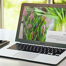 Eiviss- GARDEN. Web Design, Photograph, and UX / UI project by María López Martín-Sanz - 01.21.2016