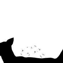 Pulgas. Un proyecto de Diseño gráfico de Natalia Suárez-Bustillo - 23.01.2016