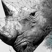 MACN - Museo Argentino de Ciencias Naturales . Pencitraan Merek, Identitas, Pengembangan Web, Arahan Seni, Desain, Desain Editorial, Dan Desain Grafis proyek oleh Carla Llinas - 01.25.2016