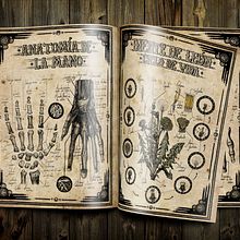 Ilustración científica 2. Un proyecto de Bellas Artes, Diseño, Ilustración tradicional y Tipografía de Julia López de Juan Abad - 27.01.2016
