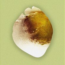 Manzana . % Patricia Palazón tarafından hazırlanan Sanat Yönetmenliği, Ve Fotoğrafçılık projesi - 10.30.2015