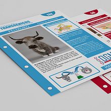 Cartillas animales transgénicos. Br, ing, Identit, Collage, Character Design, Editorial Design, Graphic Design, and Traditional illustration project by David Ramos Sánchez - 01.31.2016