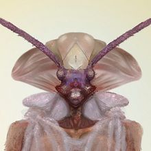 Creature 01. Character Design project by Alex Céspedes Cívico - 02.02.2016