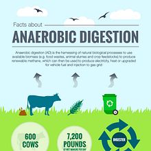 Rediseño de infografía: "Facts about anaerobic digestion" Ein Projekt aus dem Bereich Informationsdesign und Grafikdesign von Manuel Ortiz Domínguez - 16.09.2015