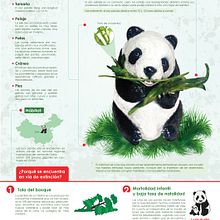 El oso panda o panda gigante. Graphic Design project by Lizeth Nohelia Avendaño - 02.04.2016
