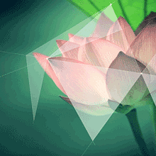 Loto . Animasi, Film, Video, TV, Fotografi Pascaproduksi, Dan Video proyek oleh Ainhoa Garcia Izaguirre - 02.04.2016