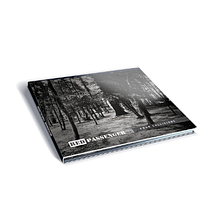 Diseño Logotipo y CD. Red Passenger (alternative music). Design project by vbernabe - 02.06.2016