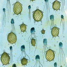 Tortugas. Product Design, and Traditional illustration project by Sandra Uve - 02.06.2016