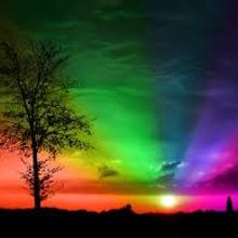 libertad . % flordelizgomez2015 tarafından hazırlanan Tasarım projesi - 02.12.2016