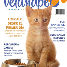 VetandPet. Un projet de Design , Conception éditoriale , et Design graphique de Carlota Felipe de Francisco - 18.02.2016