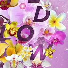 Wild Flower Poster. Projekt z dziedziny Projektowanie graficzne użytkownika sergi nadal - 21.02.2016