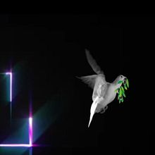 Showreel motion graphics 2015. Animation, Art Direction, Graphic Design, Motion Graphics, and Video project by Alvaro Muñozledo - 02.21.2016
