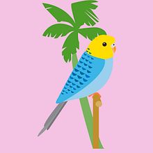 Colección de aves. Design gráfico e Ilustração tradicional projeto de Nuria Fenollar - 21.02.2016