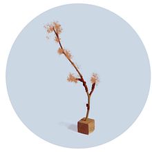 Branches & Roots. Un proyecto de Artesanía, Diseño gráfico e Ilustración tradicional de Marta Boza Samanes - 21.02.2016